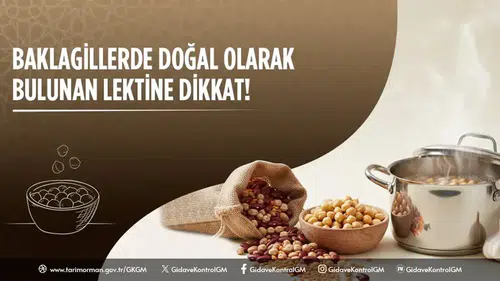 Baklagillerde Doğal Lektin Uyarısı: Bakanlıktan Rehber